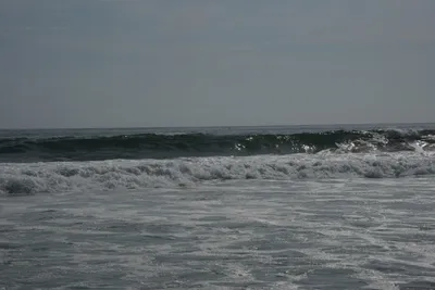 DSC_2267 (Large).JPG